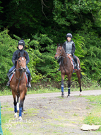 CH290522-9 - Charlie Hills Stable Visit